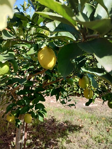 IMG_20240515_133829946_HDR