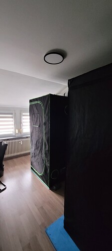 22 für das erste , hat sich der Hobbyraum sehr verwandelt