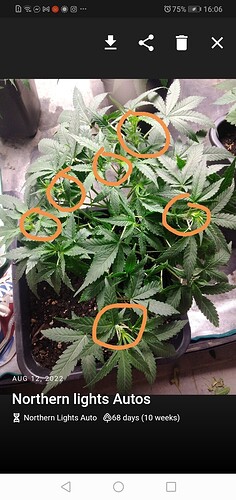 Screenshot_20220918_160908