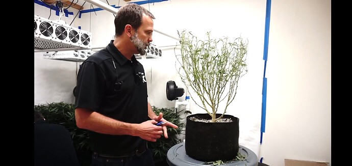 Screenshot_20220305-153050_Chrome