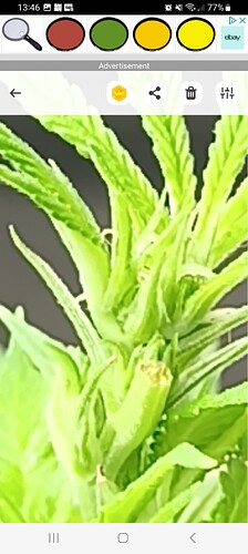 Screenshot_20230921_134626_Magnifier