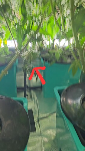 VideoCapture_20241216-162803