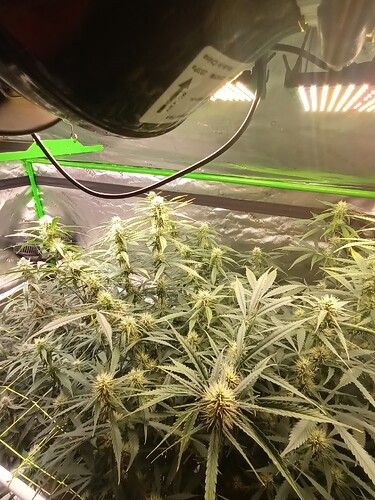 17092026006582696661959811127504