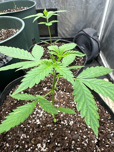 IMG_A952D699-AB47-4340-A09E-4EA83008BD2A