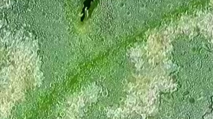 2024-09-17-162303902