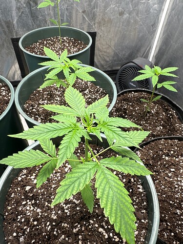 IMG_1A5BD4A5-60DF-4919-87DE-5E67DEA1DD79