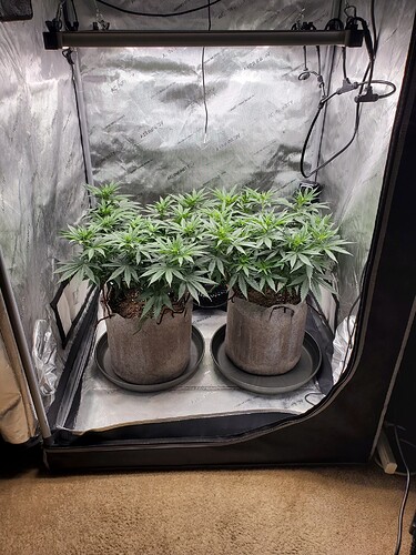 1656378701649753454673024214789