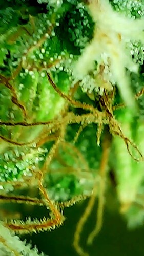 2024_05_28_17_35_40_537_exported_52640