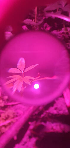 20260417_032301