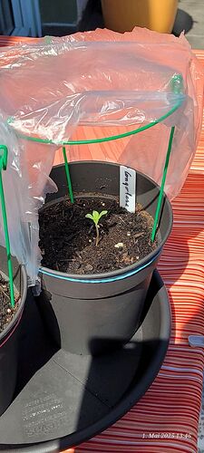 Tag 7 Congo 2 am 1.5.25