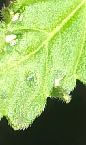 60cb15e0-0164-417d-b541-4f9e7cf58082