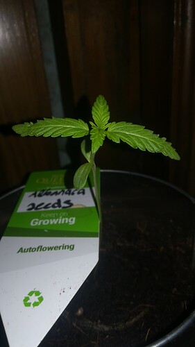 b8941f80-17a8-483b-a92a-3c5437ba33ca