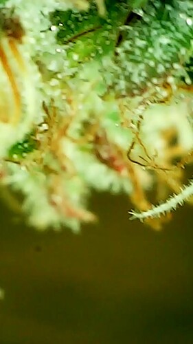 2024_05_28_17_41_38_737_exported_38640