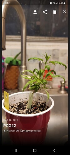 Screenshot_20220322-194725_Jane