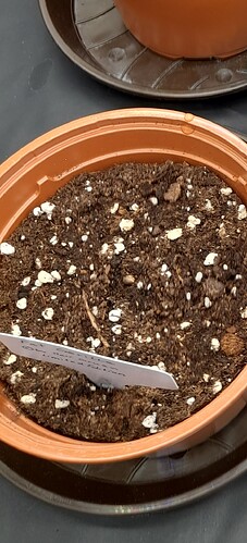 20260301_144834_resized