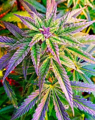 20220602_162059 - Copy