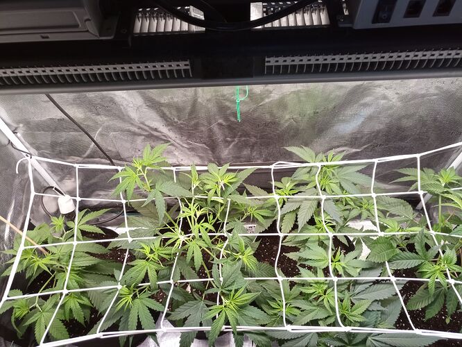 IMG_20221108_174722_1