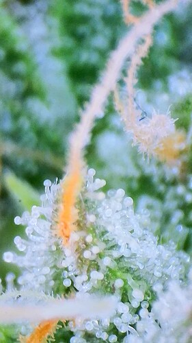 2023_06_03_15_50_04_166