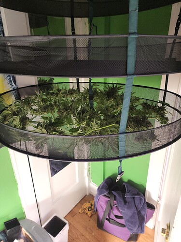 IMG_20220724_130311_01