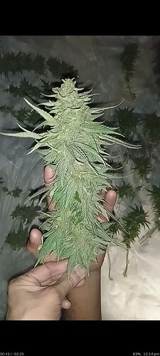 Screenshot_2022-12-10-12-14-36-236_com.mxtech.videoplayer.ad