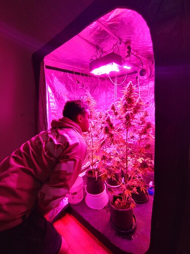 IMG_20230602_225445383_HDR