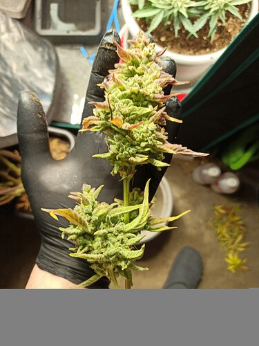 ac1297ad-fed0-482c-bab6-28d013b3093b-1_all_57226