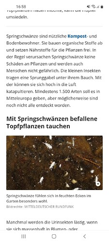 Screenshot_20260206-165809_Chrome