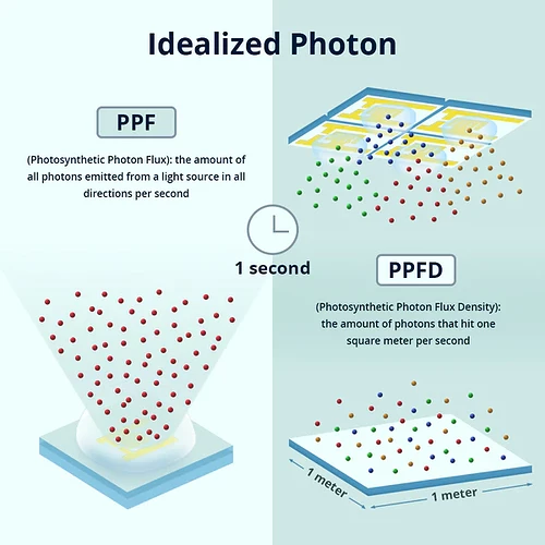 3-PPF_PPFD_600x600