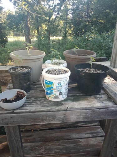 IMG_20230618_191433102