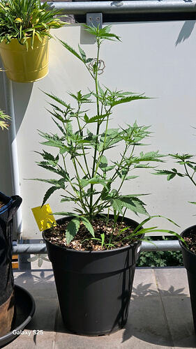 6671