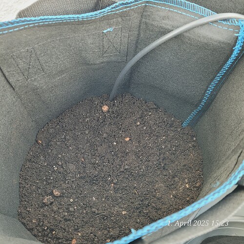 Erste Schicht 5 % Living Soil 1.4.25