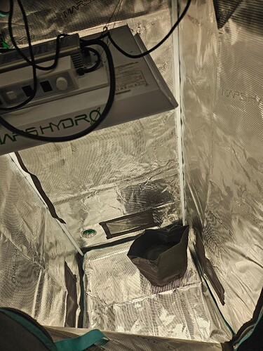 1696904509465822641400009816139