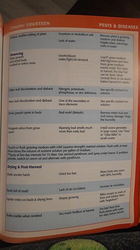 16946468768846184519837342516226