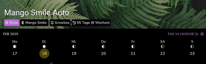 Screenshot_20250218_185225_Jane
