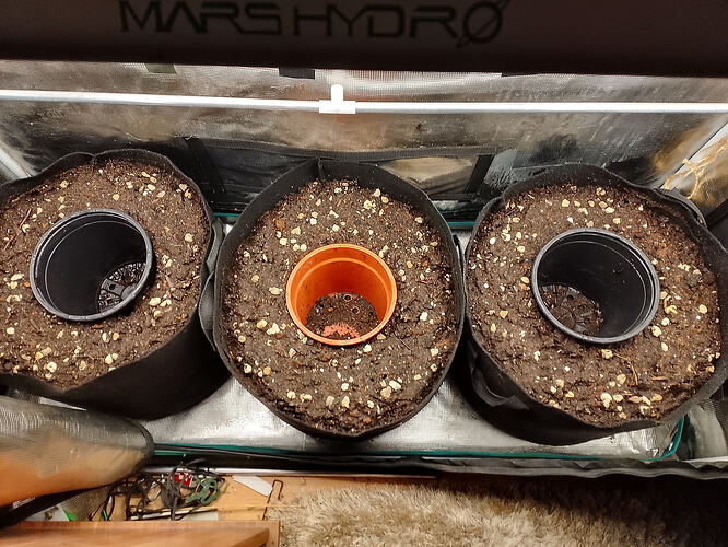 IMG_20260208_174328_HDR~2