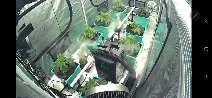 Screenshot_20241020_062317_Wyze
