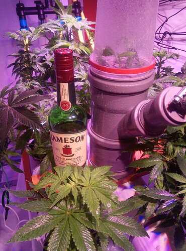 IMG_20221112_134939_8