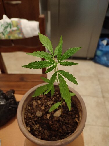 photo_2022-12-30_12-26-01