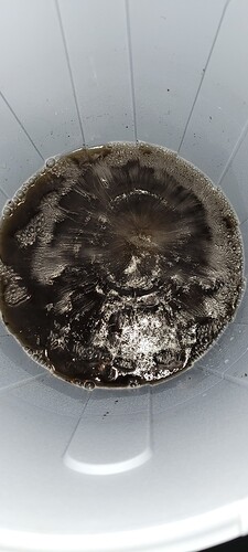 4 Komposttee auf großer Stufe mit kleinem Stein