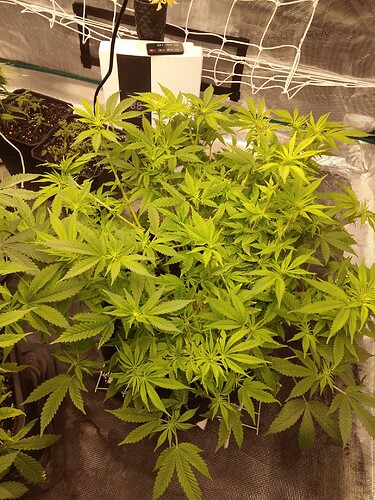 16465090917466214789764811548576