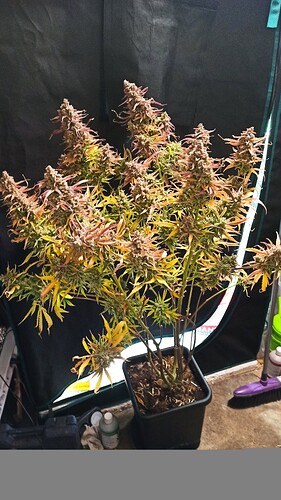 ac1297ad-fed0-482c-bab6-28d013b3093b-1_all_57225