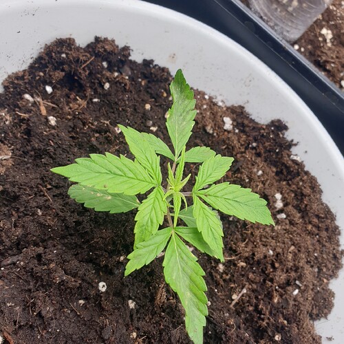 thumbnail_20251128_072416