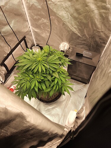 IMG_20220709_141222_01