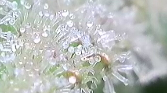 2025-06-02-190702404