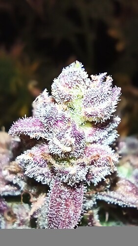 ac1297ad-fed0-482c-bab6-28d013b3093b-1_all_57227