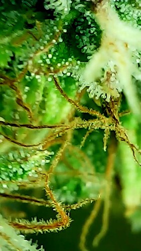 2024_05_28_17_35_40_537_exported_52480