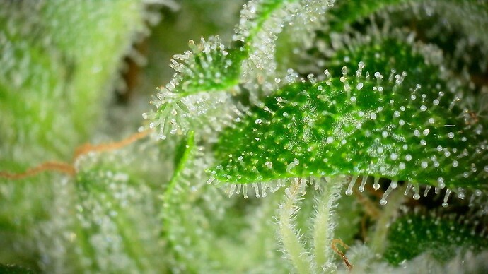 WIN_20240719_18_45_44_Pro