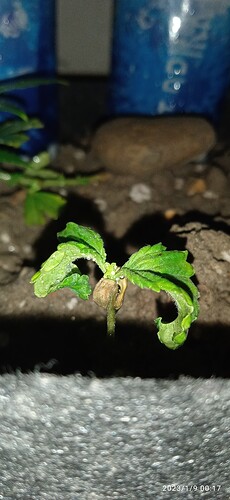 IMG_20230109_001719_1