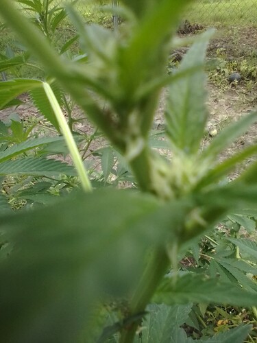 ASTRO_55R_08172023_102622