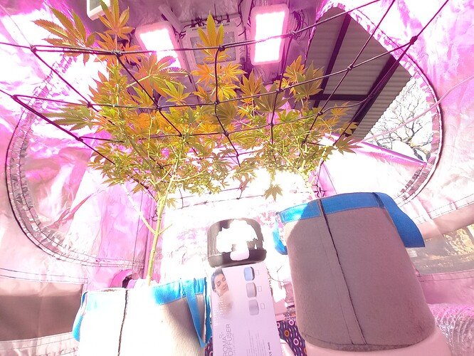 20220529_082454